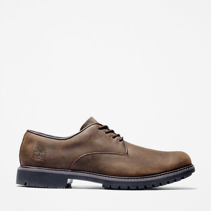 Mens Timberland Stormbucks Oxford for Men in Dark Brown