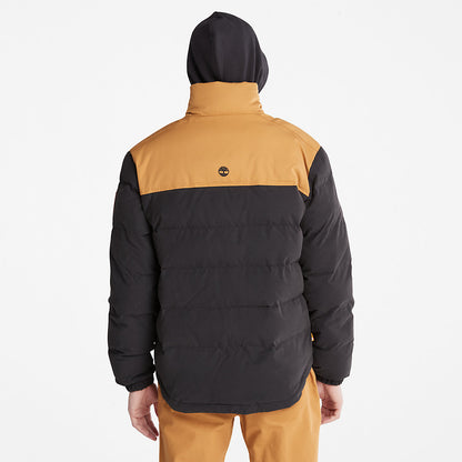 Mens Timberland Welch Mountain Puffer Jacket for Men in Black