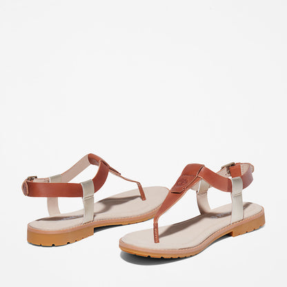 Womens Timberland Chicago Riverside Thong Sandal for Women in Brown