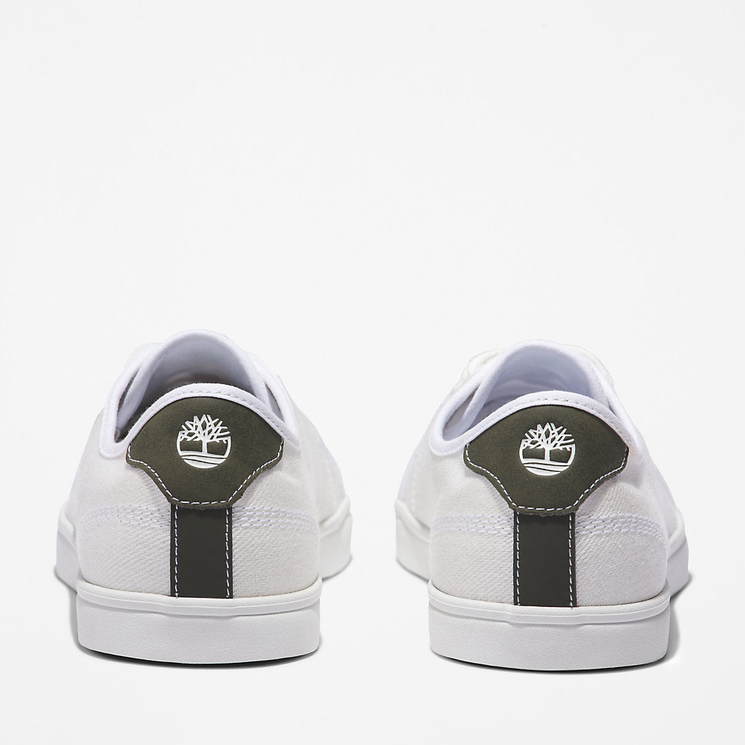 Mens Timberland Skape Park Knit Trainer for Men in White