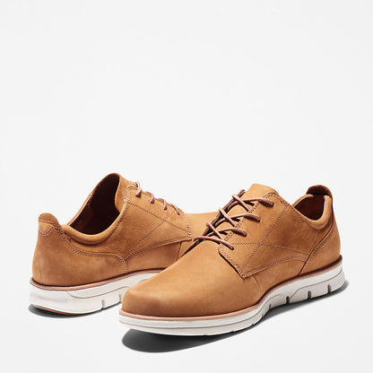 Mens Timberland Bradstreet Sneaker for Men in Brown