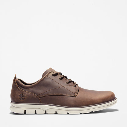 Mens Timberland Bradstreet Sneaker for Men in Dark Brown