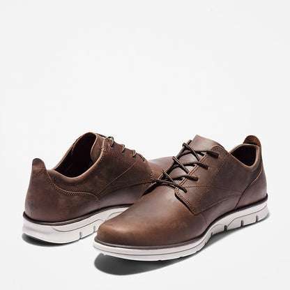 Mens Timberland Bradstreet Sneaker for Men in Dark Brown