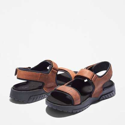 Mens Timberland Anchor Watch Backstrap Sandal for Men in Brown