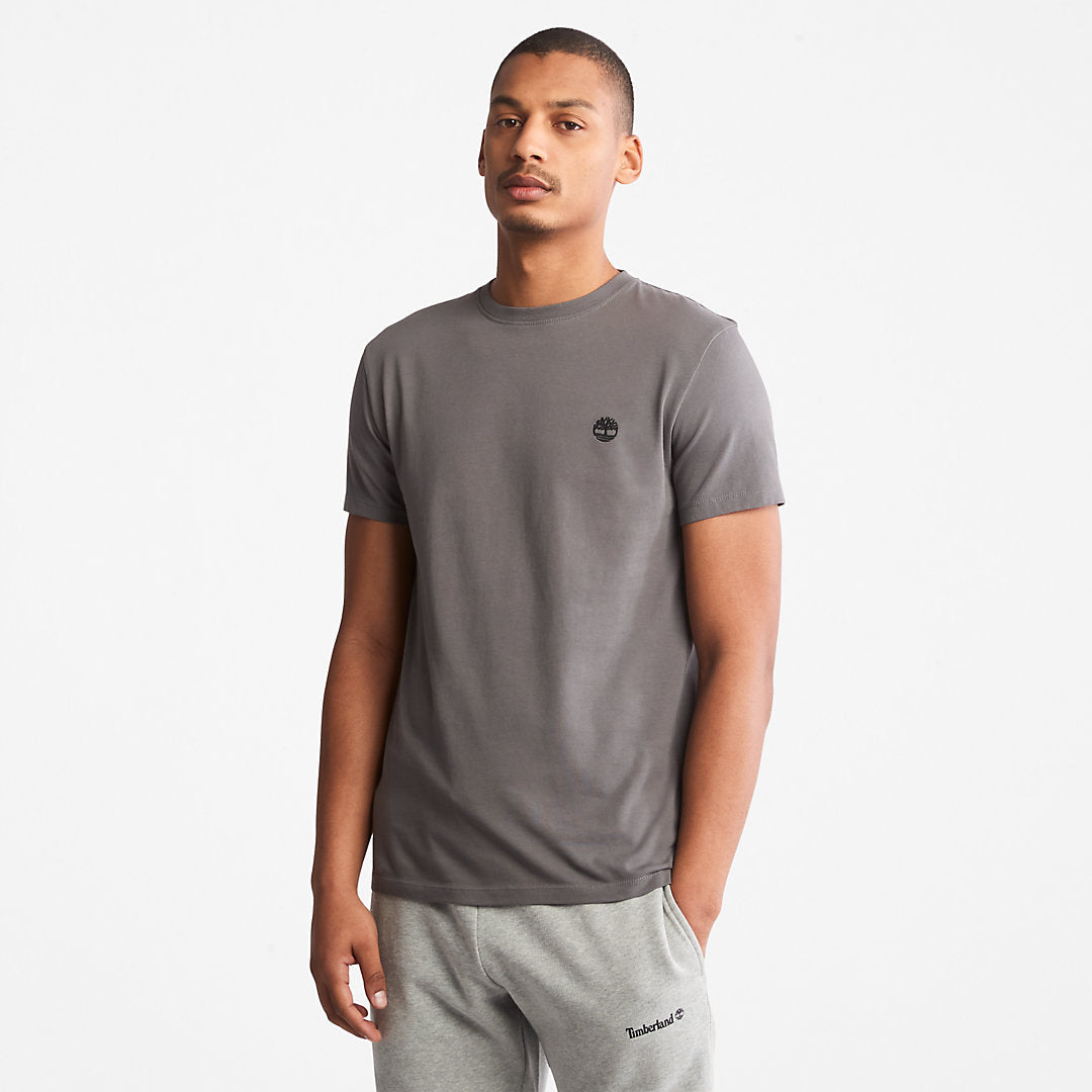 Mens Timberland Dunstan River T-Shirt for Men in Grey