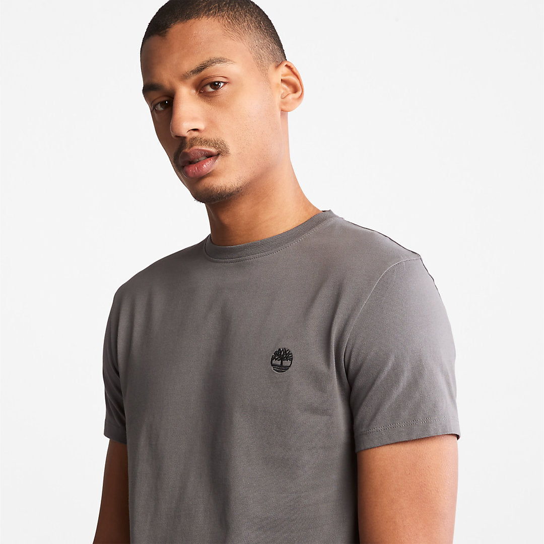 Mens Timberland Dunstan River T-Shirt for Men in Grey