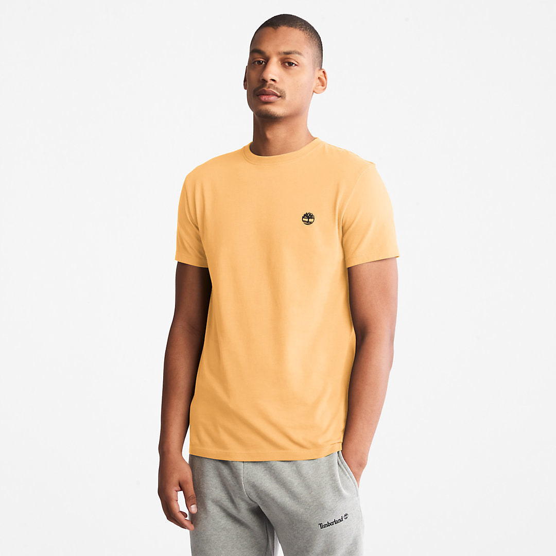 Mens Timberland Dunstan River T-Shirt for Men in Yellow