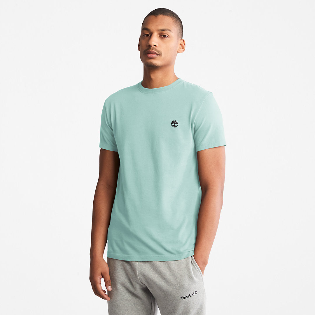 Mens Timberland Dunstan River T-Shirt for Men in Light Green