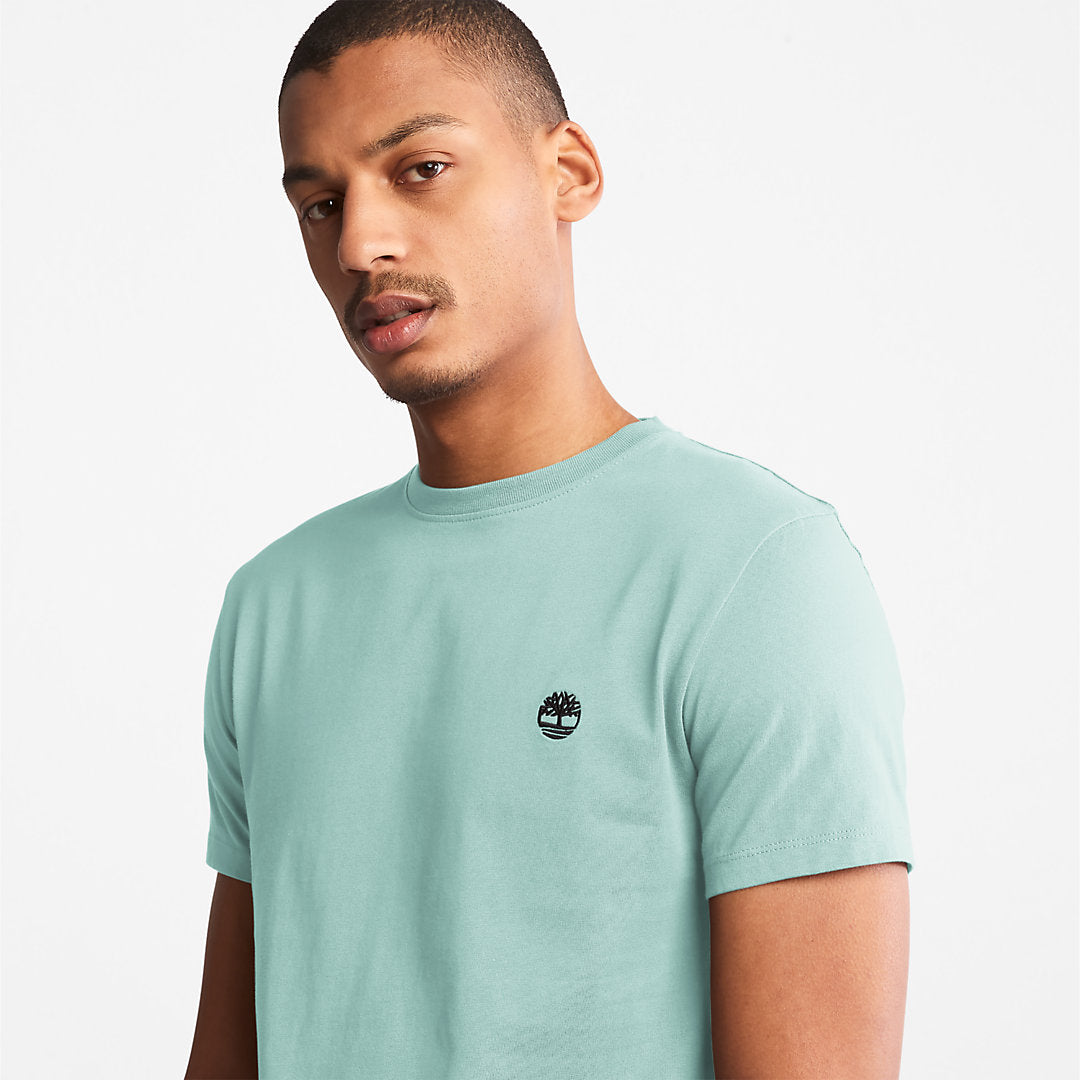 Mens Timberland Dunstan River T-Shirt for Men in Light Green