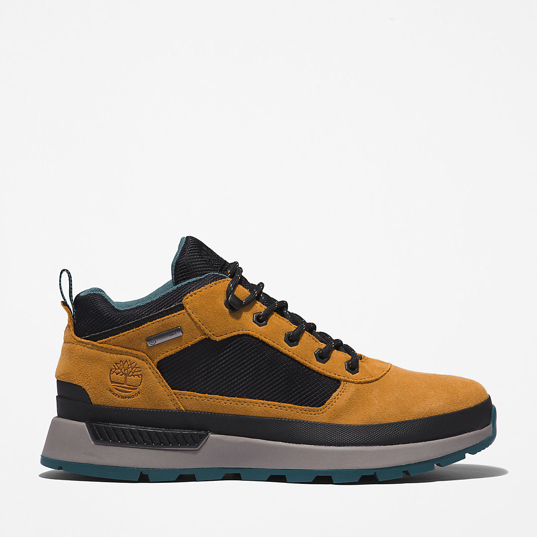 Mens Timberland Field Trekker Hiking Boot for Men in Yellow