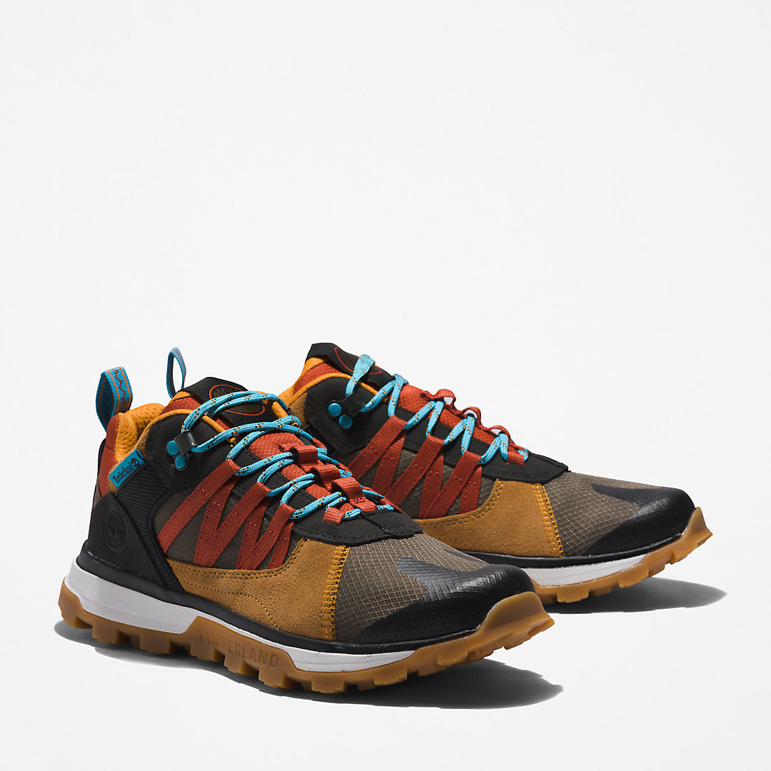 Mens Timberland Treeline STR Trainer for Men in Brown