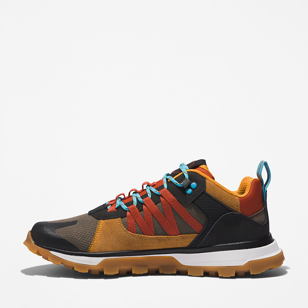 Mens Timberland Treeline STR Trainer for Men in Brown