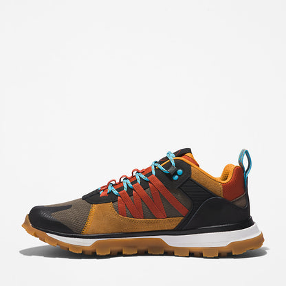 Mens Timberland Treeline STR Trainer for Men in Brown
