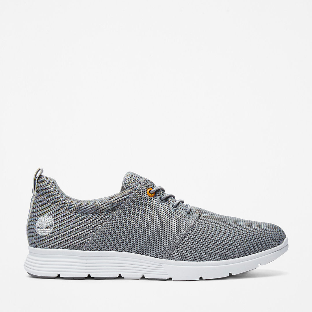 Mens Timberland Killington Oxford Shoe for Men in Grey