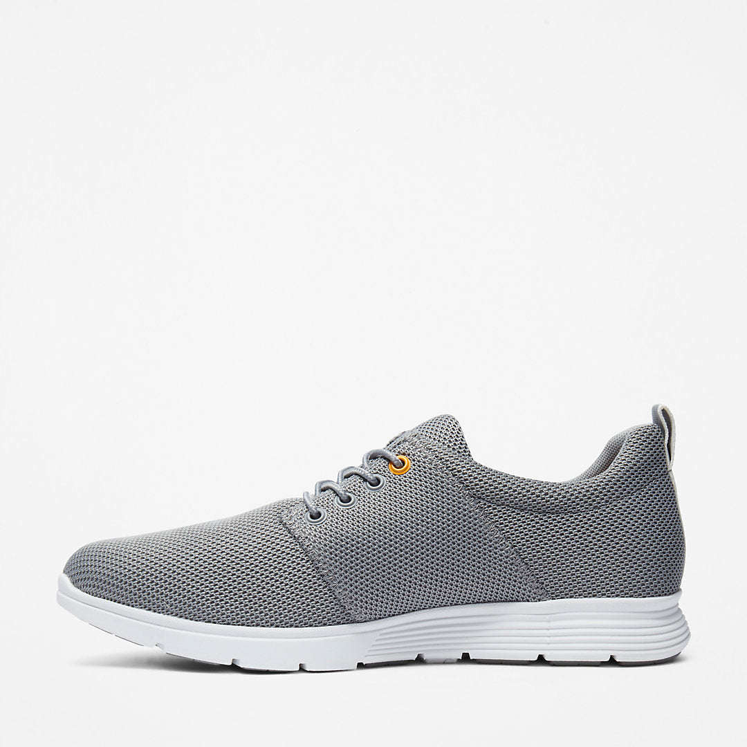 Mens Timberland Killington Oxford Shoe for Men in Grey