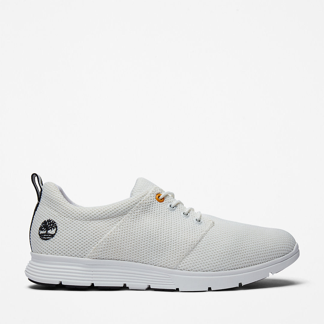 Mens Timberland Killington Oxford Shoe for Men in White
