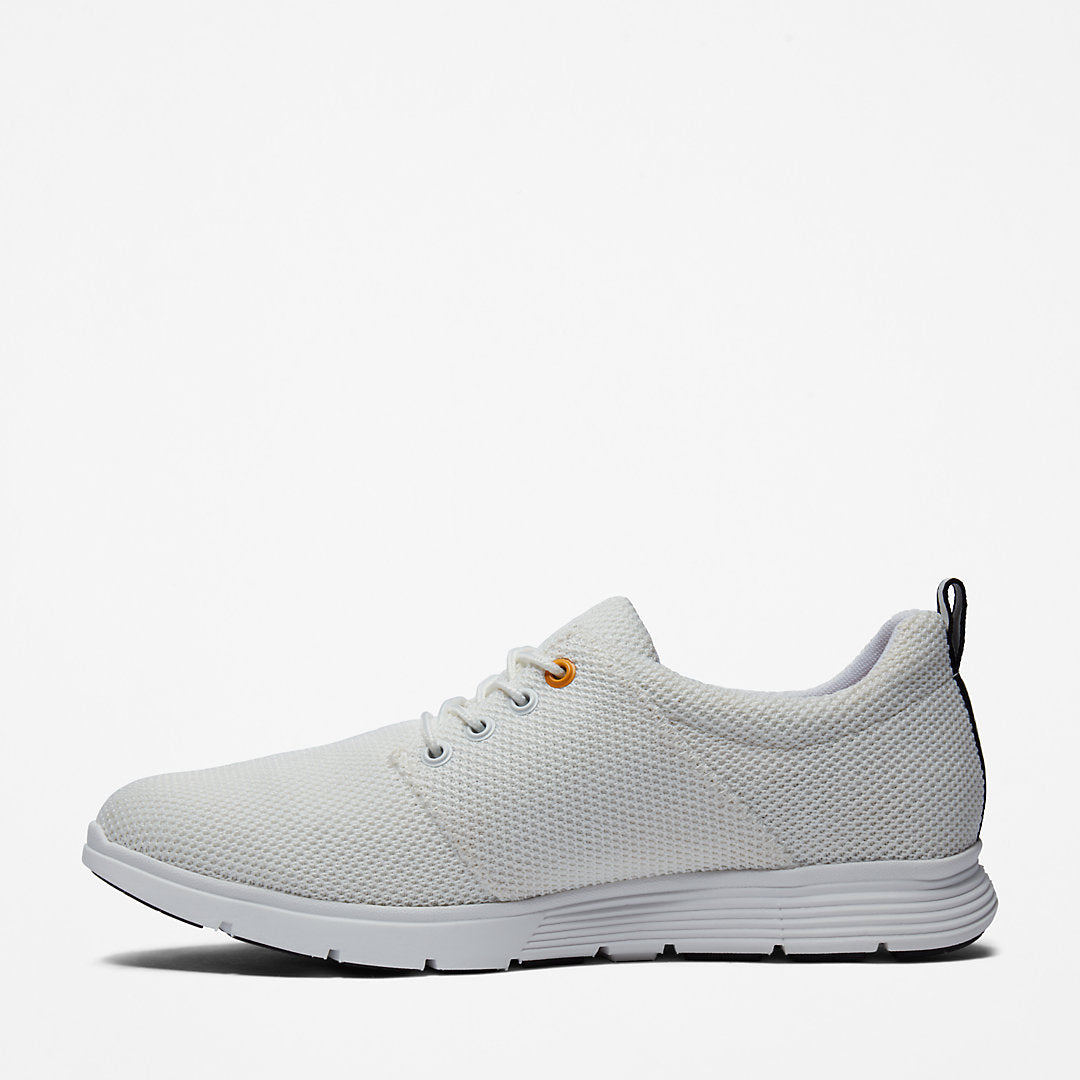 Mens Timberland Killington Oxford Shoe for Men in White