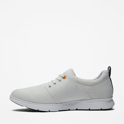 Mens Timberland Killington Oxford Shoe for Men in White