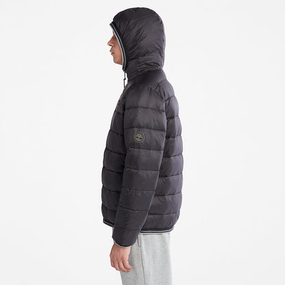 Mens Timberland Garfield Hooded Puffer Jacket for Men in Black