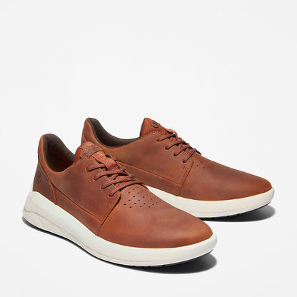 Mens Timberland Bradstreet Ultra Trainer for Men in Brown