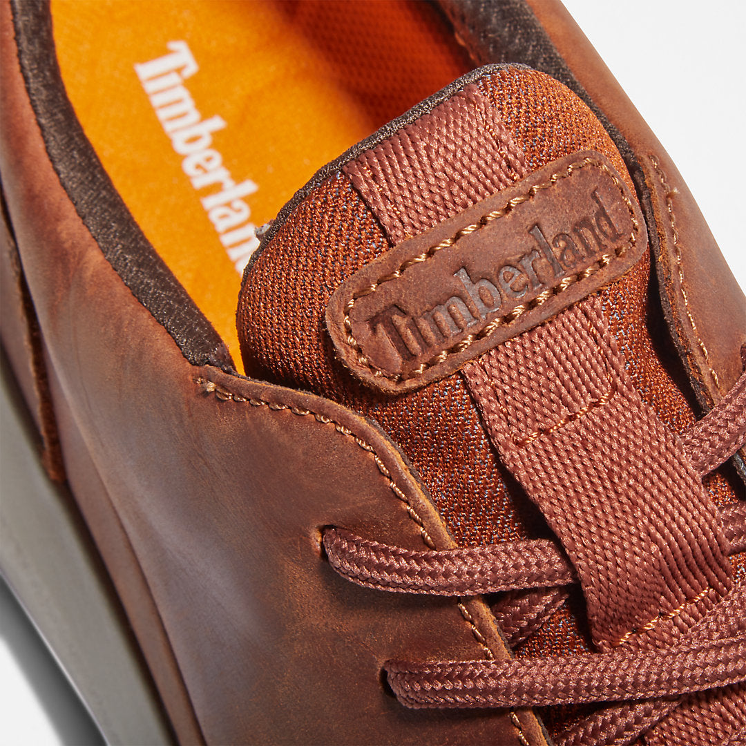 Mens Timberland Bradstreet Ultra Trainer for Men in Brown