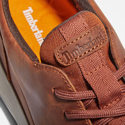 Mens Timberland Bradstreet Ultra Trainer for Men in Brown