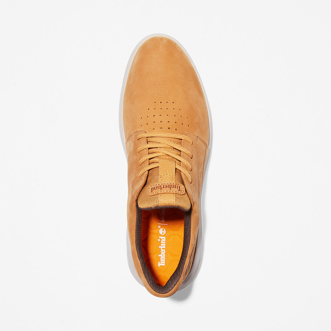 Mens Timberland Bradstreet Ultra Trainer for Men in Yellow
