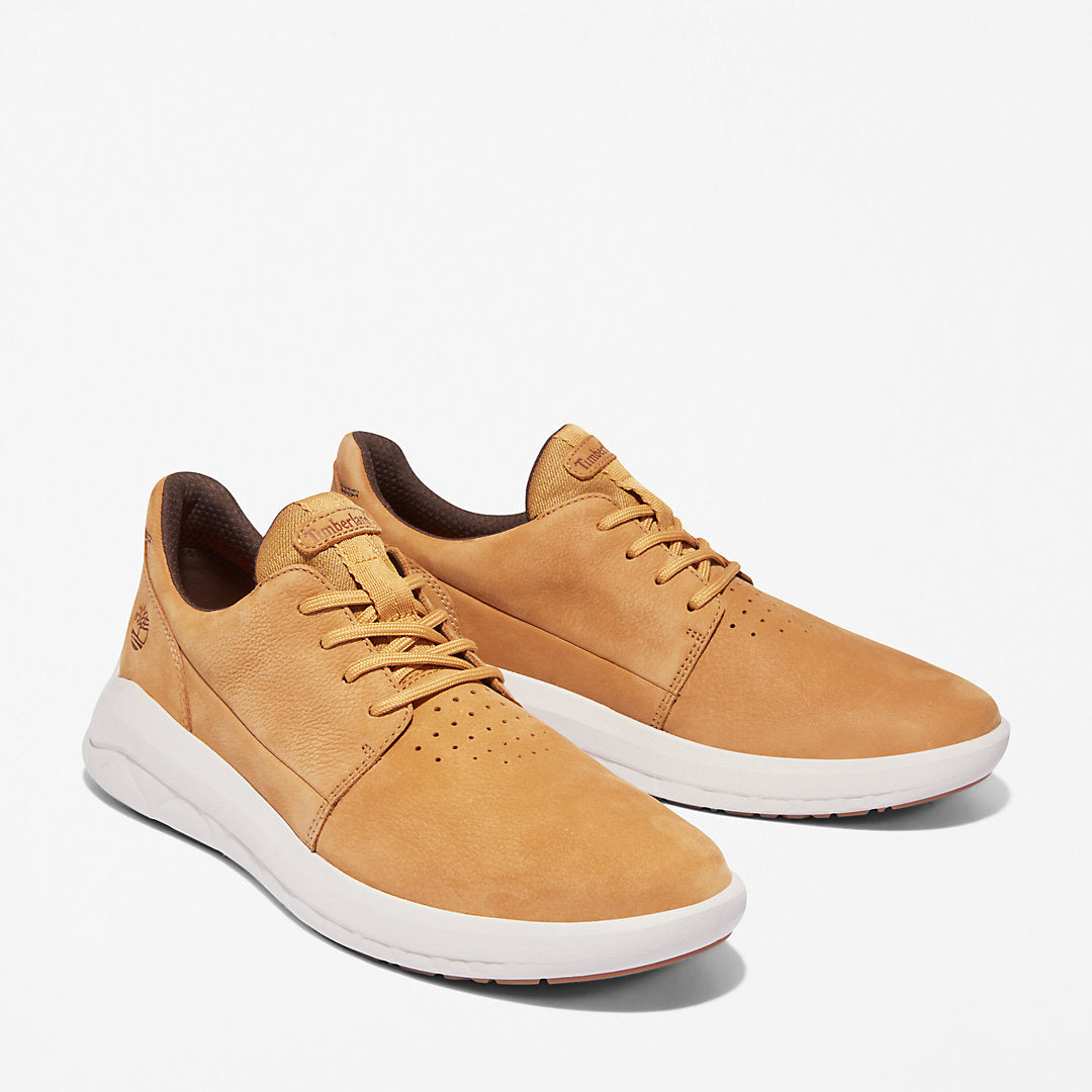 Mens Timberland Bradstreet Ultra Trainer for Men in Yellow