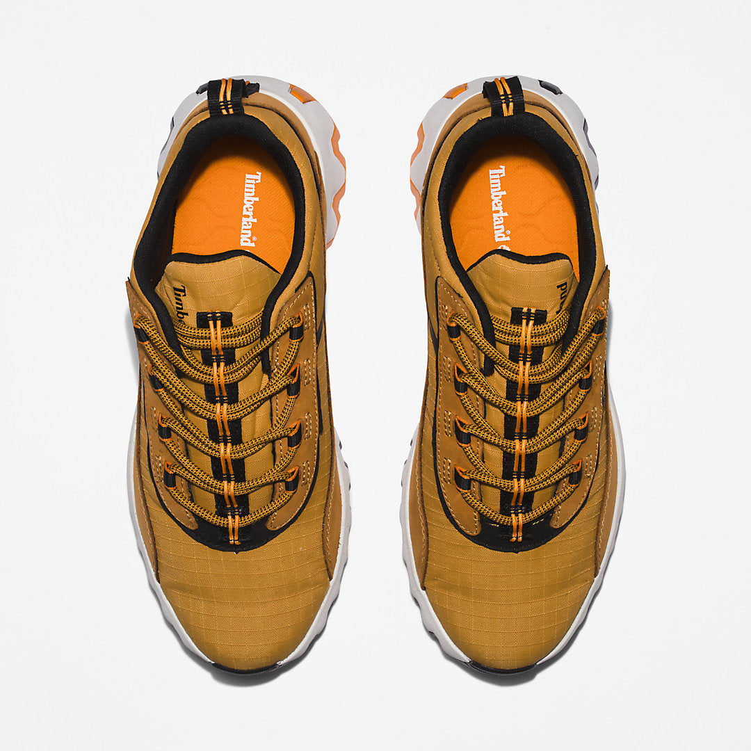 Mens Timberland GreenStride™ TBL® Edge Trainer for Men in Brown