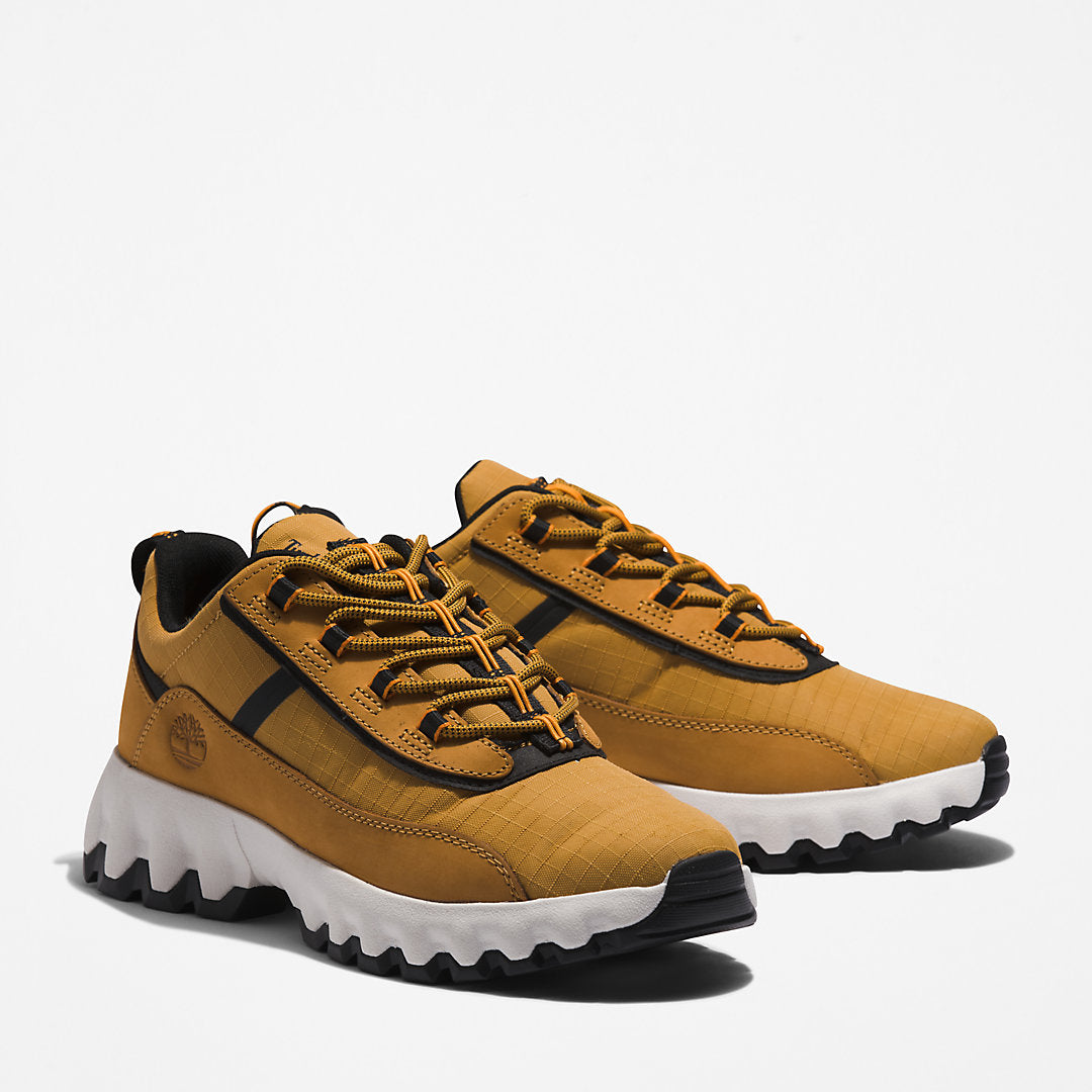 Mens Timberland GreenStride™ TBL® Edge Trainer for Men in Brown