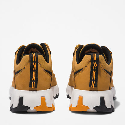 Mens Timberland GreenStride™ TBL® Edge Trainer for Men in Brown