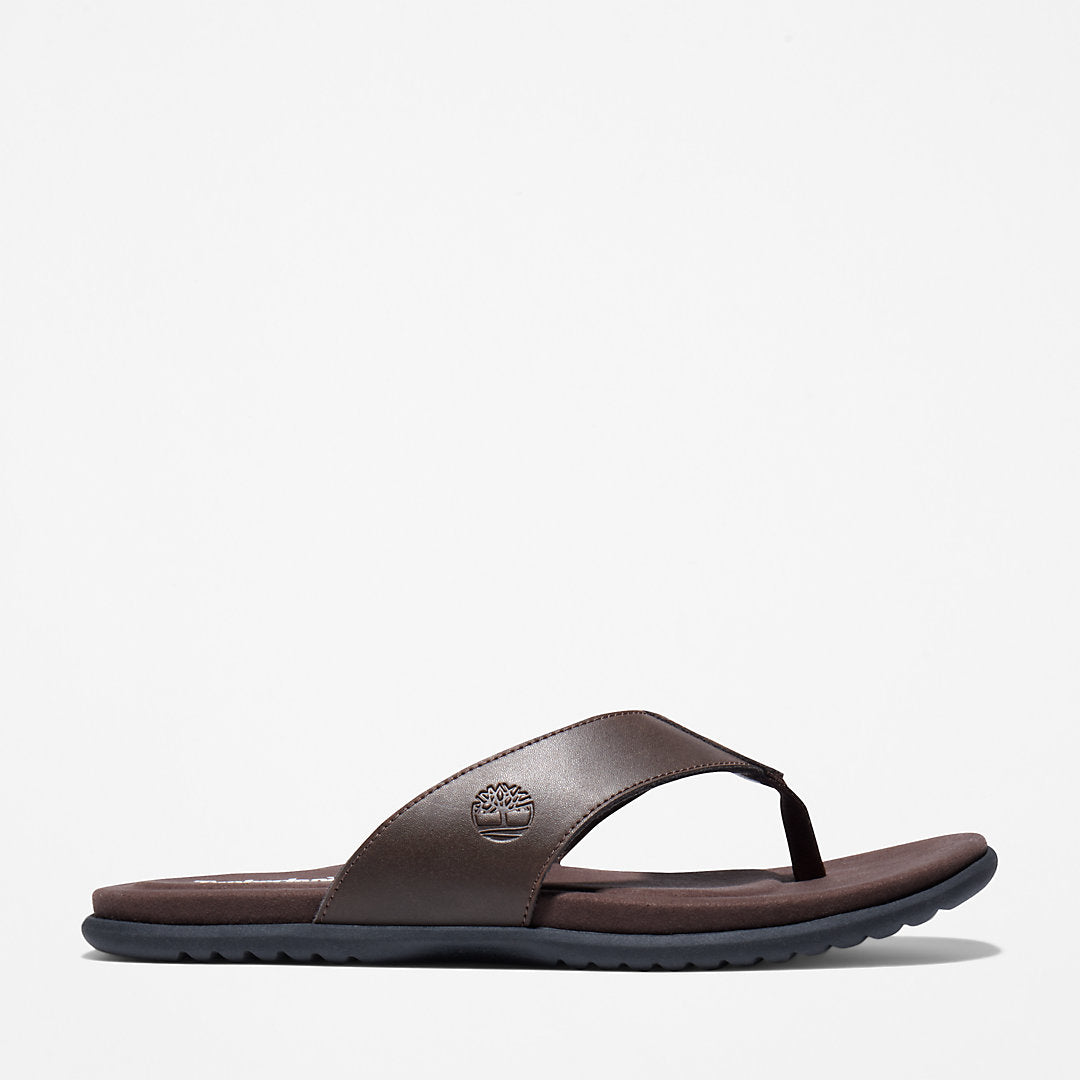 Mens Timberland Kesler Cove Toe-bar Sandal for Men in Dark Brown