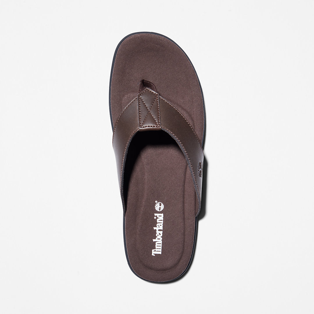 Mens Timberland Kesler Cove Toe-bar Sandal for Men in Dark Brown