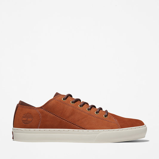 Mens Timberland Adventure 2.0 Cupsole Oxford for Men in Brown