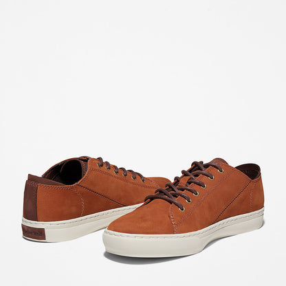 Mens Timberland Adventure 2.0 Cupsole Oxford for Men in Brown